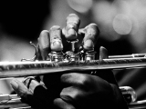 Le mani di Miles Davis, Monterey Jazz Festival '63 by JIM MARSHALL